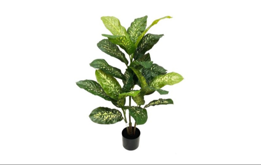 Dieffenbachia Bush with Real Touch leaves 
