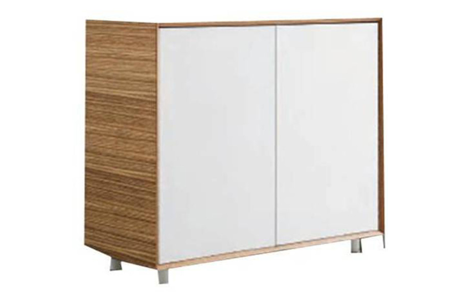 Evolution Cabinet